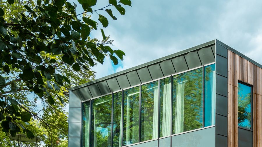 Green leaves over a building with huge glass windows